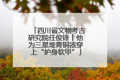 四川省文物考古研究院任俊锋丨他为三星堆青铜器穿上“护身软甲”