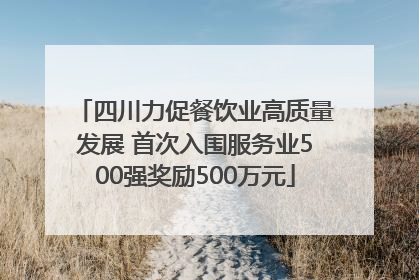 四川力促餐饮业高质量发展 首次入围服务业500强奖励500万元