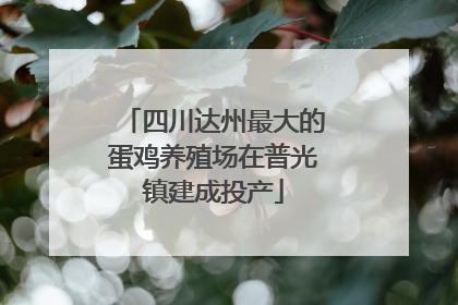 四川达州最大的蛋鸡养殖场在普光镇建成投产