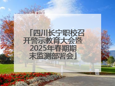 四川长宁职校召开警示教育大会暨2025年春期期末监测部署会