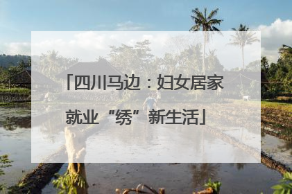 四川马边：妇女居家就业“绣”新生活