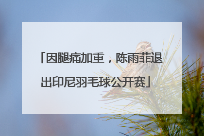 因腿痛加重，陈雨菲退出印尼羽毛球公开赛