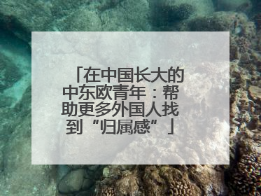 在中国长大的中东欧青年：帮助更多外国人找到“归属感”