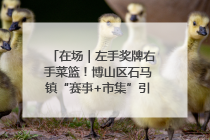 在场｜左手奖牌右手菜篮！博山区石马镇“赛事+市集”引燃周末经济
