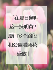 在夏日邂逅这一抹明黄！厦门多个路段和公园腊肠花盛放