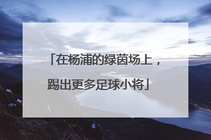 在杨浦的绿茵场上，踢出更多足球小将