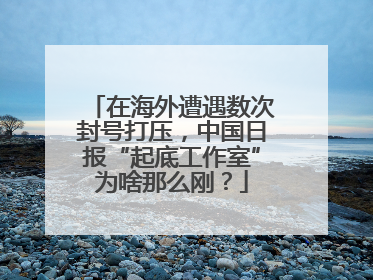 在海外遭遇数次封号打压，中国日报“起底工作室”为啥那么刚？