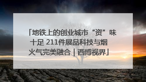 地铁上的创业城市“资”味十足 211件展品科技与烟火气完美融合｜西博视界