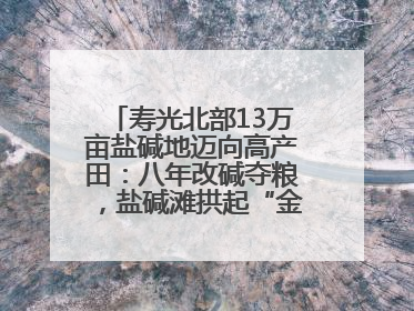 寿光北部13万亩盐碱地迈向高产田：八年改碱夺粮，盐碱滩拱起“金粮仓”