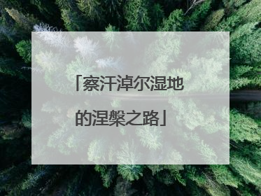 察汗淖尔湿地的涅槃之路