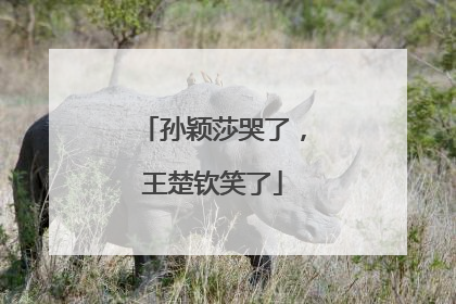 孙颖莎哭了，王楚钦笑了