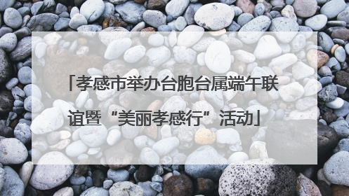 孝感市举办台胞台属端午联谊暨“美丽孝感行”活动