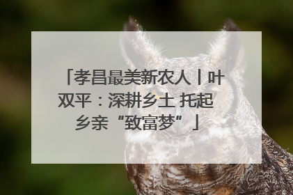 孝昌最美新农人丨叶双平：深耕乡土 托起乡亲“致富梦”