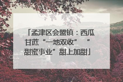 孟津区会盟镇：西瓜甘蔗“一地双收” “甜蜜事业”甜上加甜