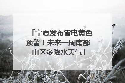 宁夏发布雷电黄色预警！未来一周南部山区多降水天气