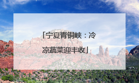 宁夏青铜峡：冷凉蔬菜迎丰收
