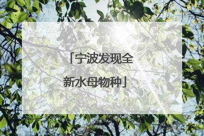 宁波发现全新水母物种
