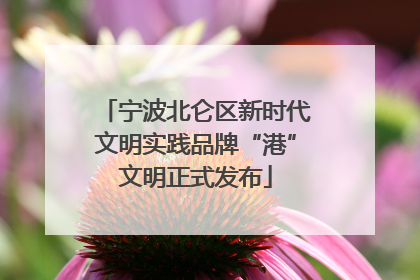 宁波北仑区新时代文明实践品牌“港”文明正式发布