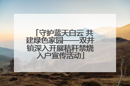 守护蓝天白云 共建绿色家园——双井镇深入开展秸秆禁烧入户宣传活动