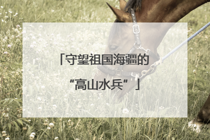 守望祖国海疆的“高山水兵”