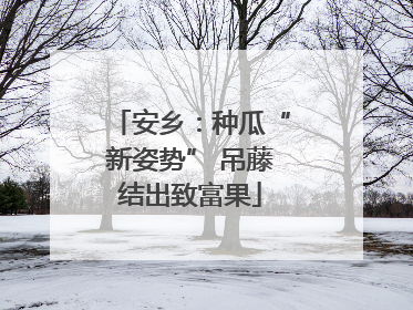 安乡：种瓜“新姿势” 吊藤结出致富果