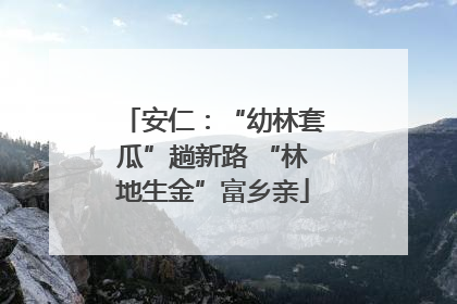 安仁：“幼林套瓜”趟新路 “林地生金”富乡亲