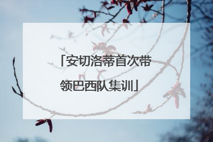 安切洛蒂首次带领巴西队集训