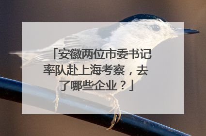 安徽两位市委书记率队赴上海考察，去了哪些企业？