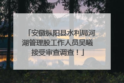 安徽枞阳县水利局河湖管理股工作人员吴曦接受审查调查！