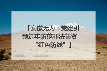 安徽无为：党建引领筑牢防范非法集资“红色防线”