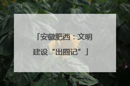 安徽肥西：文明建设“出圈记”