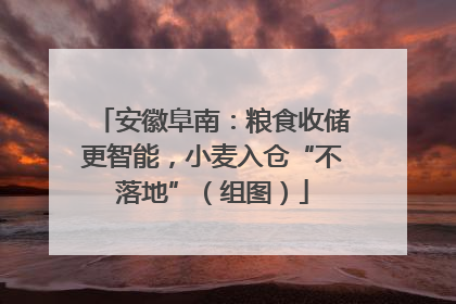 安徽阜南：粮食收储更智能，小麦入仓“不落地”（组图）