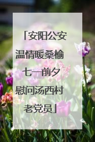 安阳公安温情暖桑榆 七一前夕慰问汤西村老党员