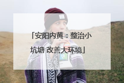 安阳内黄：整治小坑塘 改善大环境