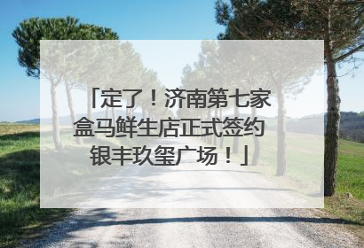 定了！济南第七家盒马鲜生店正式签约银丰玖玺广场！