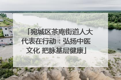 宛城区茶庵街道人大代表在行动：弘扬中医文化 把脉基层健康