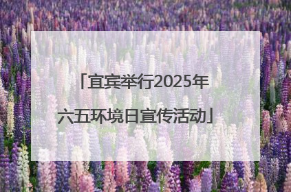 宜宾举行2025年六五环境日宣传活动