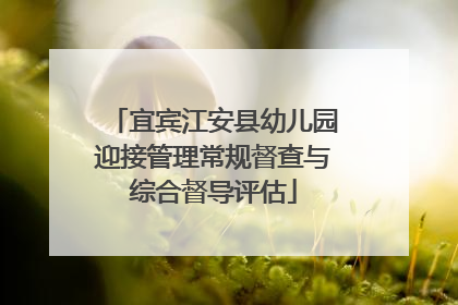 宜宾江安县幼儿园迎接管理常规督查与综合督导评估