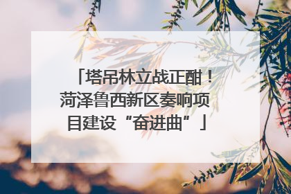 塔吊林立战正酣！菏泽鲁西新区奏响项目建设“奋进曲”