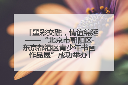 墨彩交融，情谊绵延——“北京市朝阳区·东京都港区青少年书画作品展”成功举办