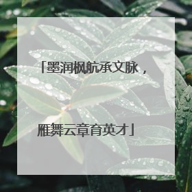 墨润枫航承文脉，雁舞云章育英才