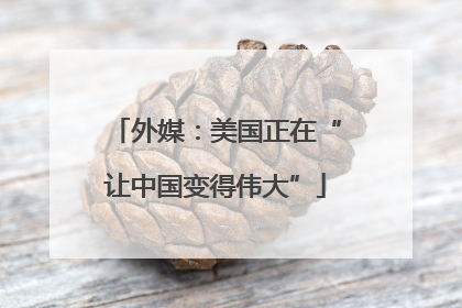 外媒：美国正在“让中国变得伟大”