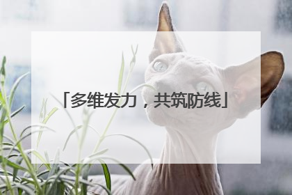 多维发力，共筑防线