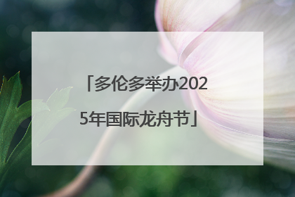 多伦多举办2025年国际龙舟节
