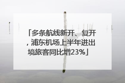 多条航线新开、复开，浦东机场上半年进出境旅客同比增23%