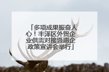 多项成果振奋人心！丰泽区外贸企业供需对接暨惠企政策宣讲会举行