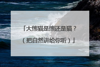 大熊猫是熊还是猫？（把自然讲给你听）