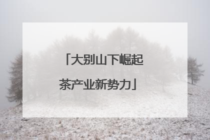 大别山下崛起茶产业新势力