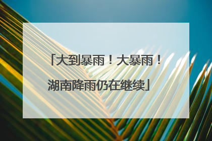 大到暴雨！大暴雨！湖南降雨仍在继续