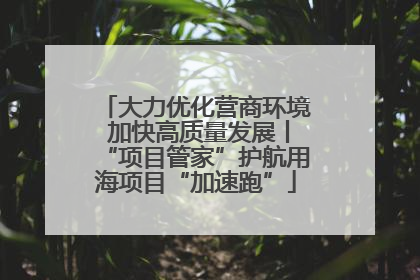 大力优化营商环境 加快高质量发展丨“项目管家”护航用海项目“加速跑”